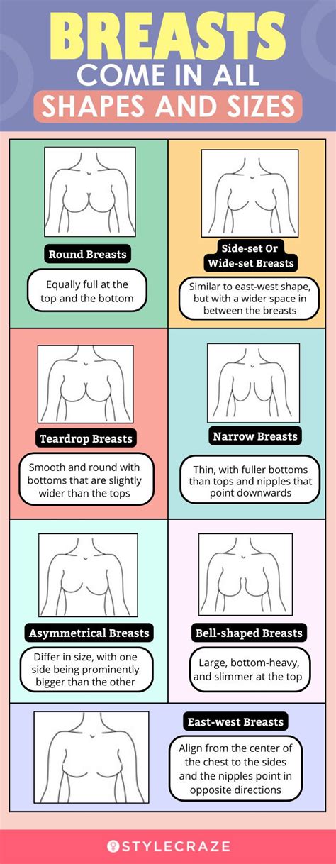 The 11 Different Breast Shapes 